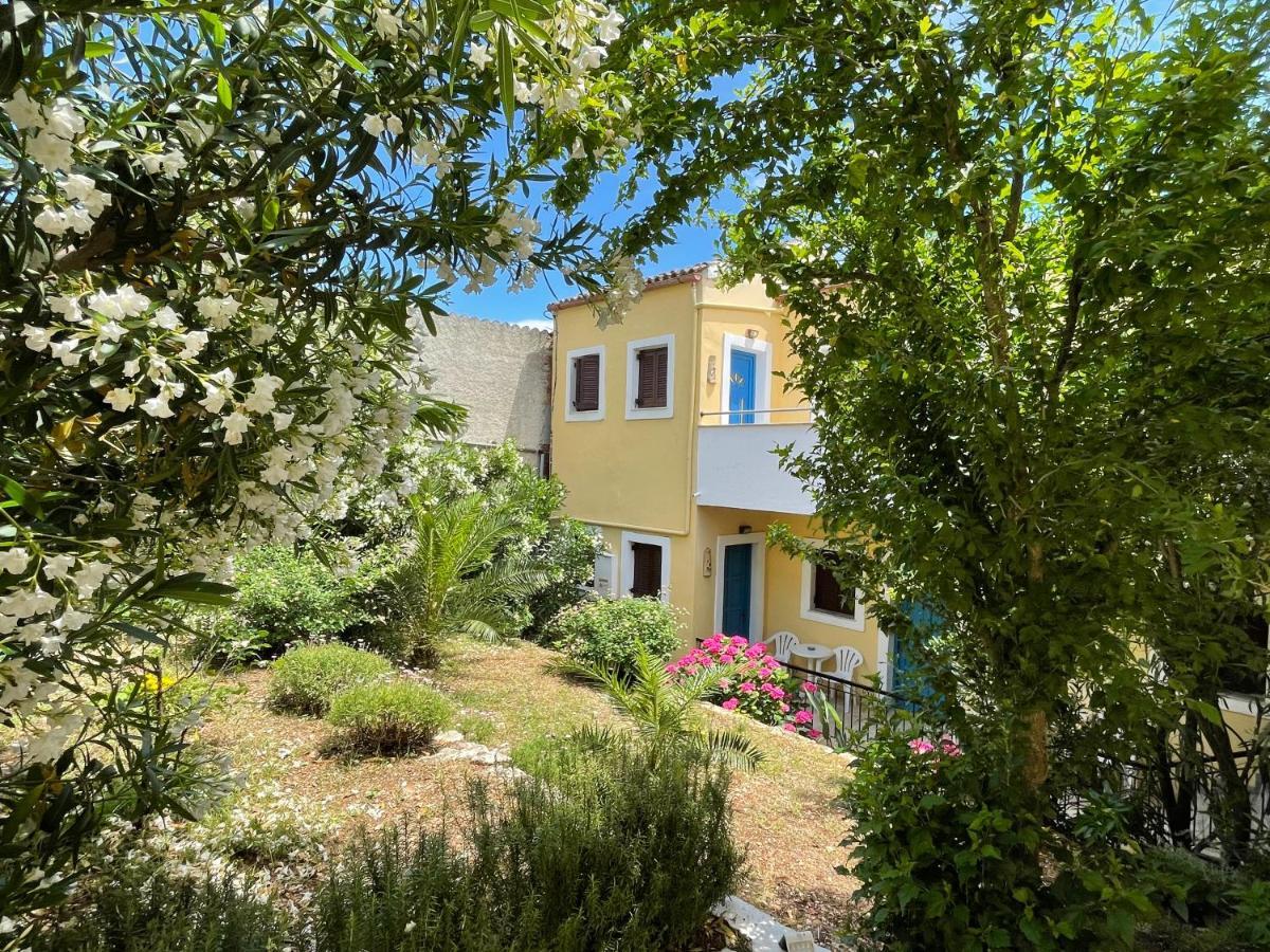 Sunflower & Kassiopi